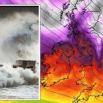 সাকিবের কারণে বরিশালকে বিসিবির কারণ দর্শানোর নোটিশ।