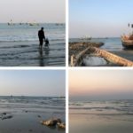 আফিফ-মিরাজের ব্যাটিংয়ে টাইগারদের দুর্দান্ত জয়।