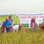 আলোচনার আহ্বান জানালেন শ্রীলঙ্কার প্রধানমন্ত্রী।