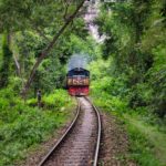 যুক্তরাষ্ট্রে ‘রিকশা গার্ল’ এর প্রিমিয়ার।