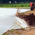 ডিজেল নিয়ে শ্রীলঙ্কায় পৌঁছেছে ভারতীয় জাহাজ।