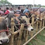 যুক্তরাষ্ট্রের সুপ্রিম কোর্টে প্রথম কৃষ্ণাঙ্গ নারী বিচারপতি।