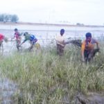 ডলারের বিপরীতে ধস নেমেছে পাকিস্তান রুপির।