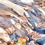 সৌদি মন্ত্রিসভায় প্রথম নারী উপসচিব নিয়োগ।