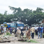কোরবানির তাৎপর্য ও শিক্ষা।