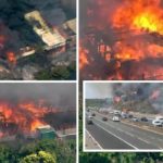 প্যারিসে বন্দুকধারীর গুলিতে একজন নিহত।