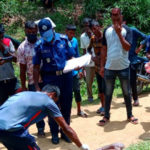 বন্য আগুন ছড়িয়ে পড়েছে ক্যালিফোর্নিয়ায় বিস্তীর্ণ এলাকায়।