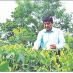 এশিয়া কাপ থেকে বিদায় নিলো বাংলাদেশ।